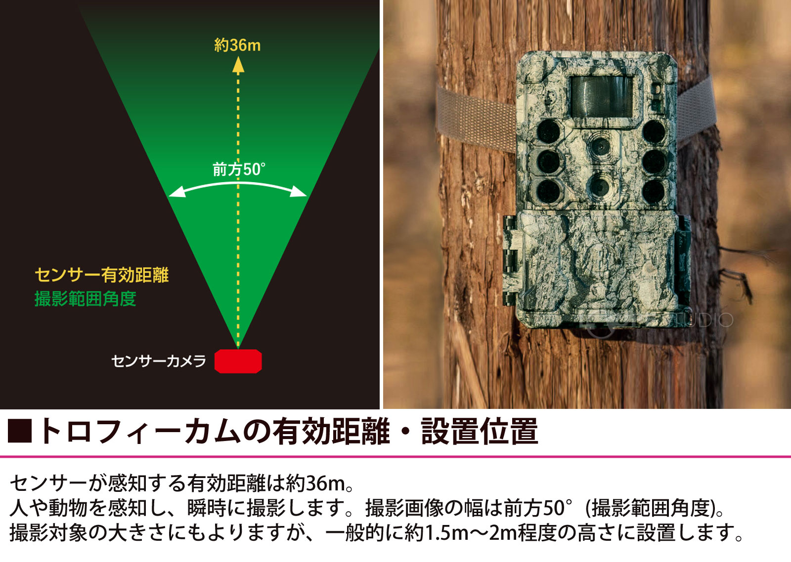 トロフィーカムの有効距離・設置位置