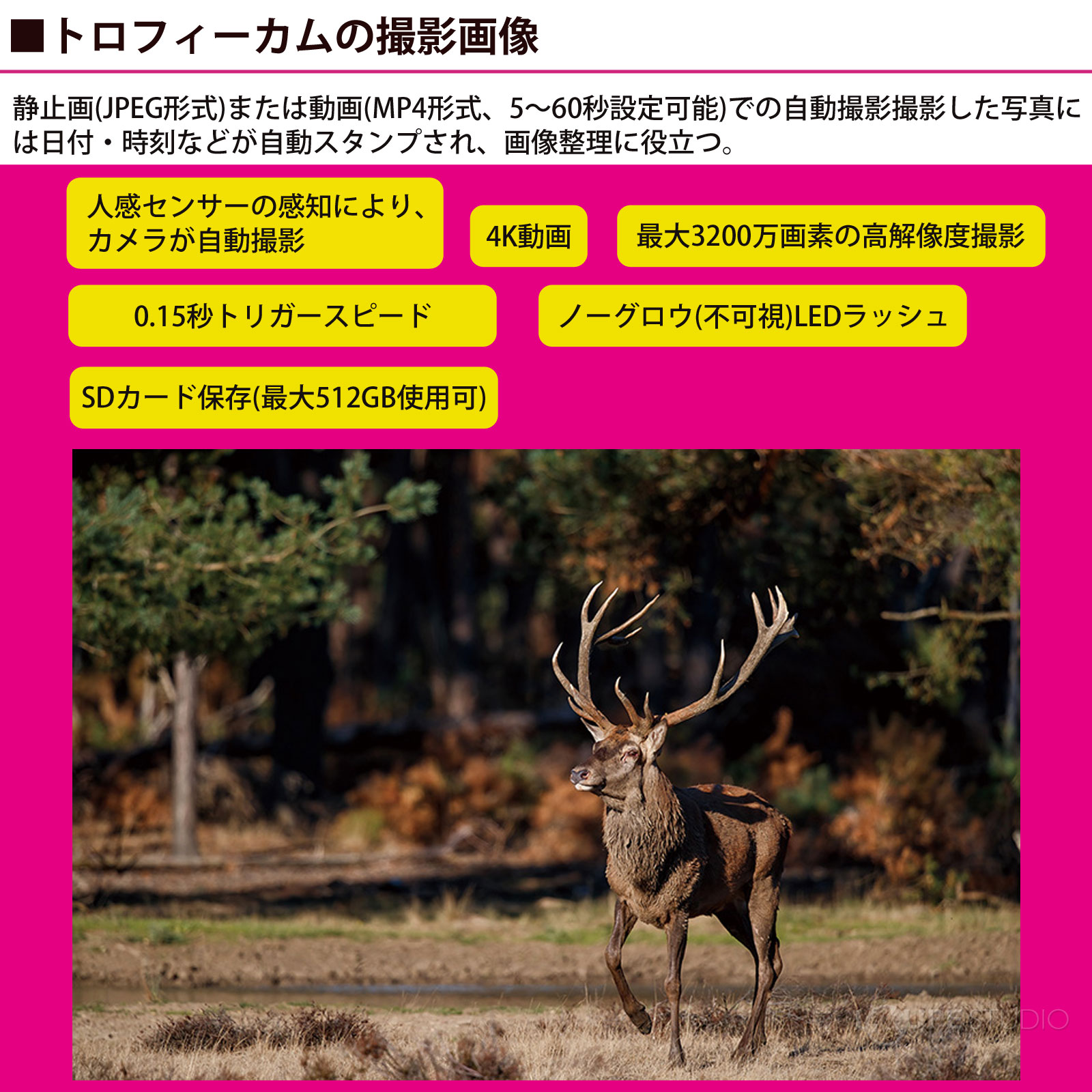 トロフィーカムの撮影画像