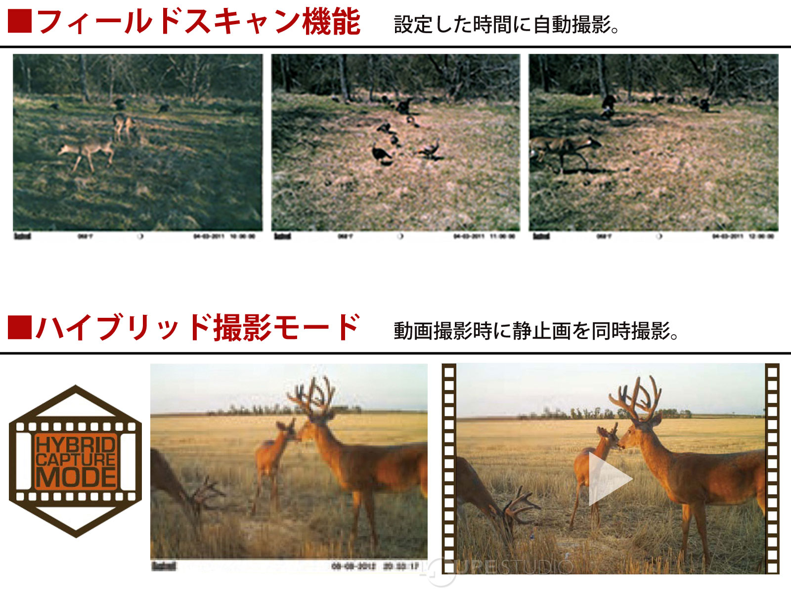 フィールドスキャン機能&ハイブリッド撮影モード