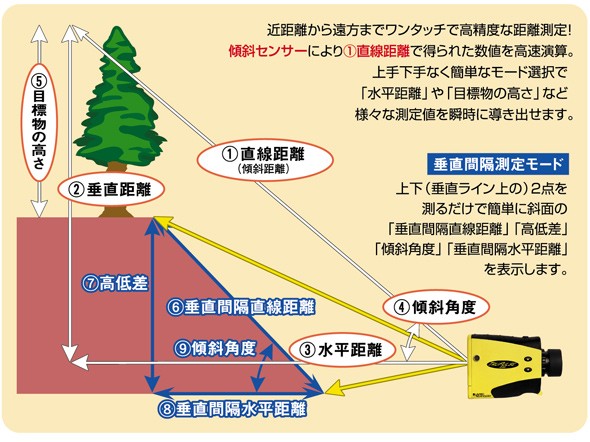 特長