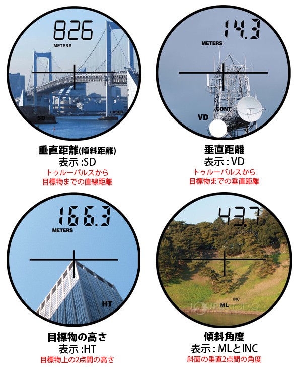 特長