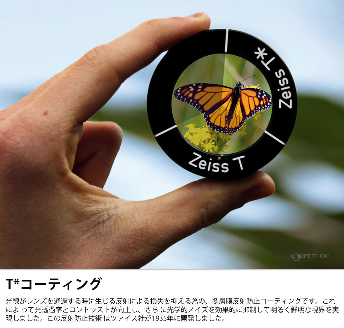 T*コーティング 