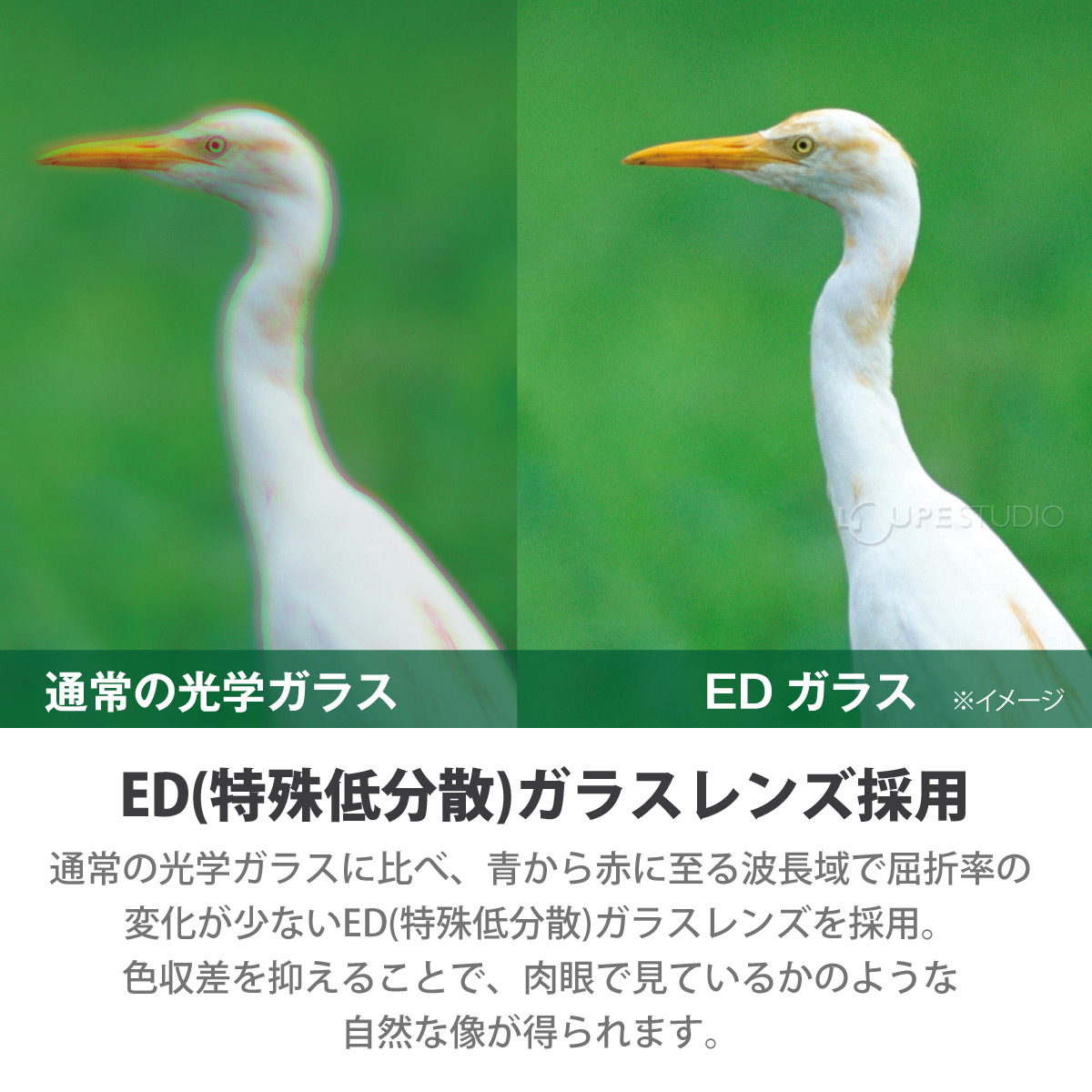 ED(特殊低分散)ガラスレンズ採用 