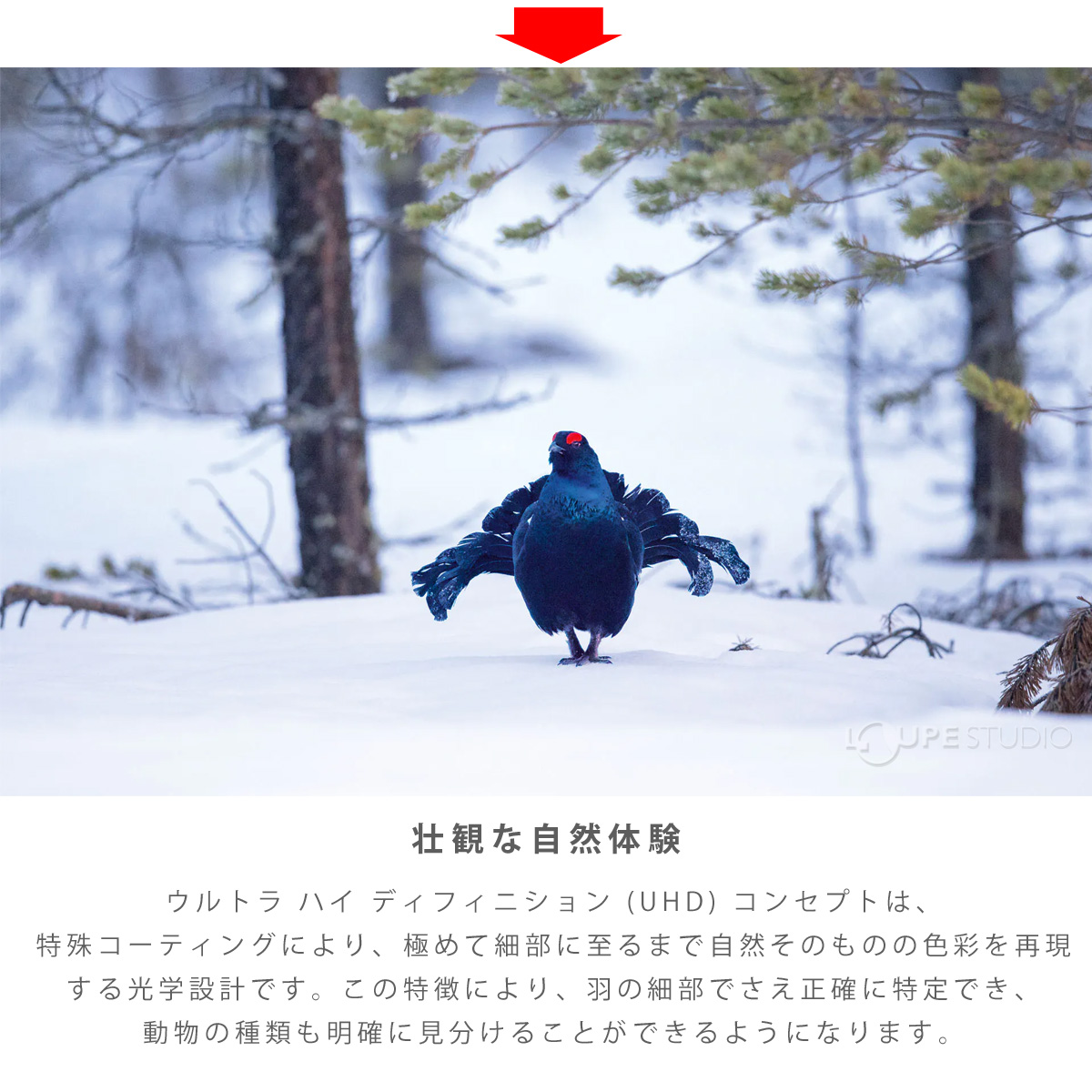 壮観な自然体験 