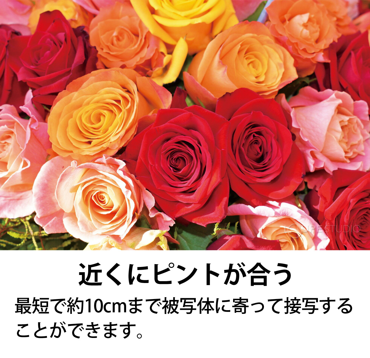 近くにピントが合う