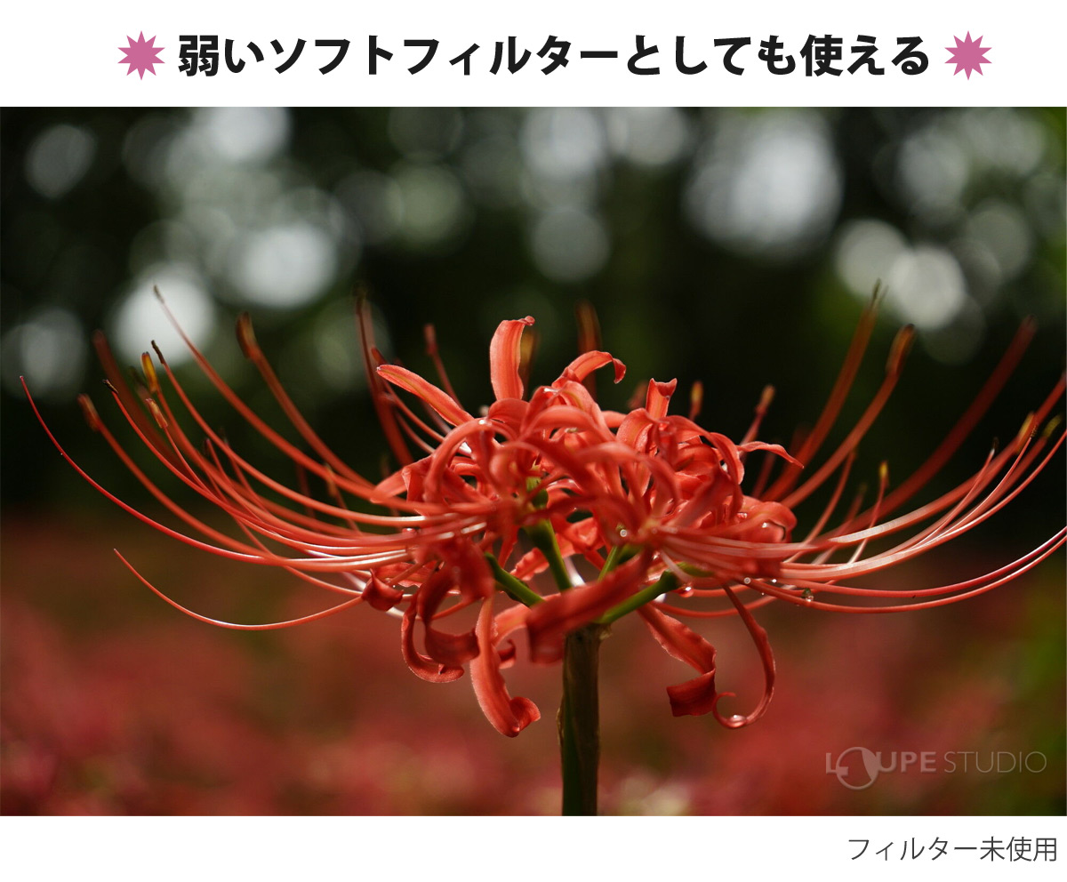 弱いソフトフィルターとしても使える 