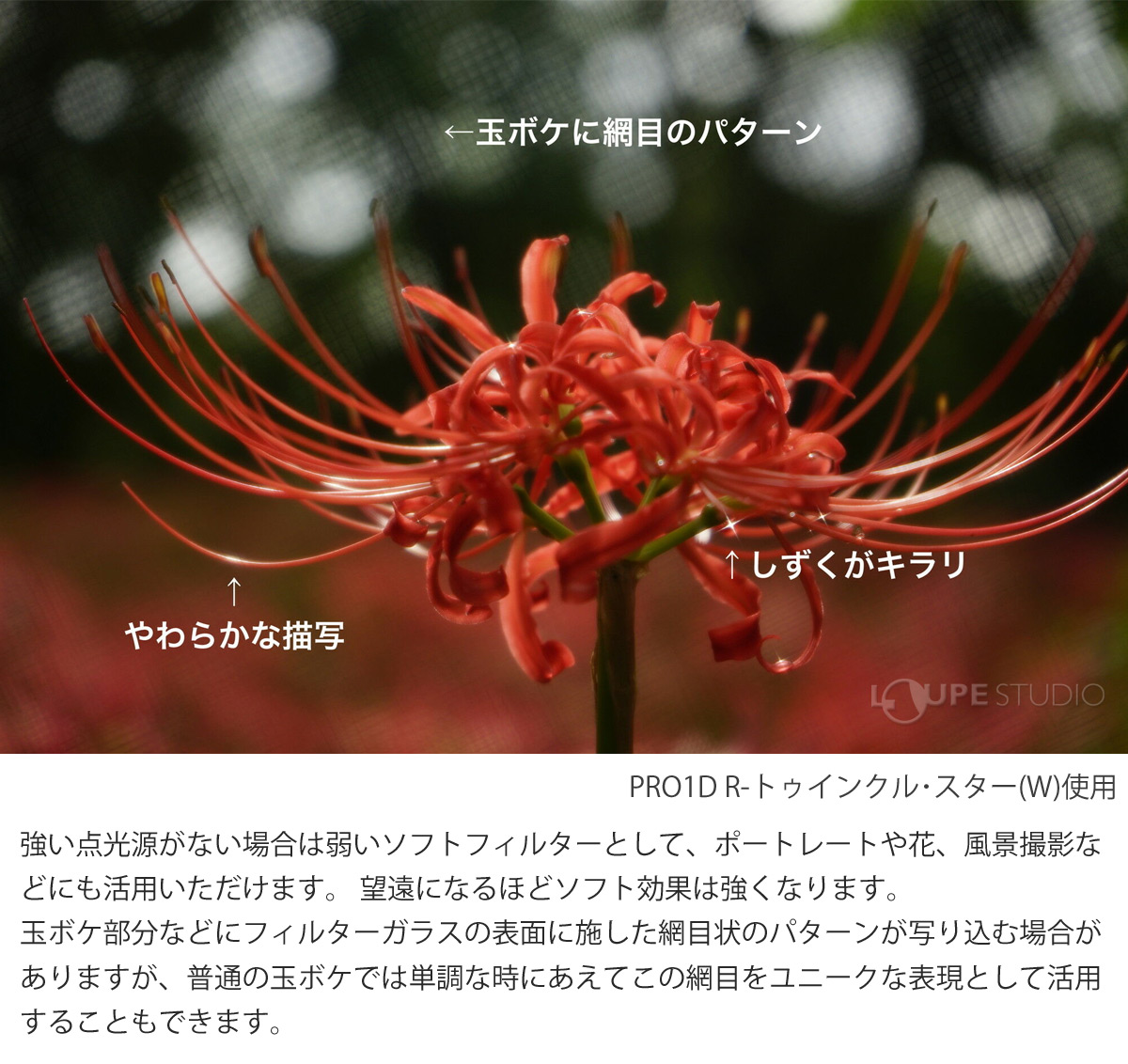 弱いソフトフィルターとしても使える 