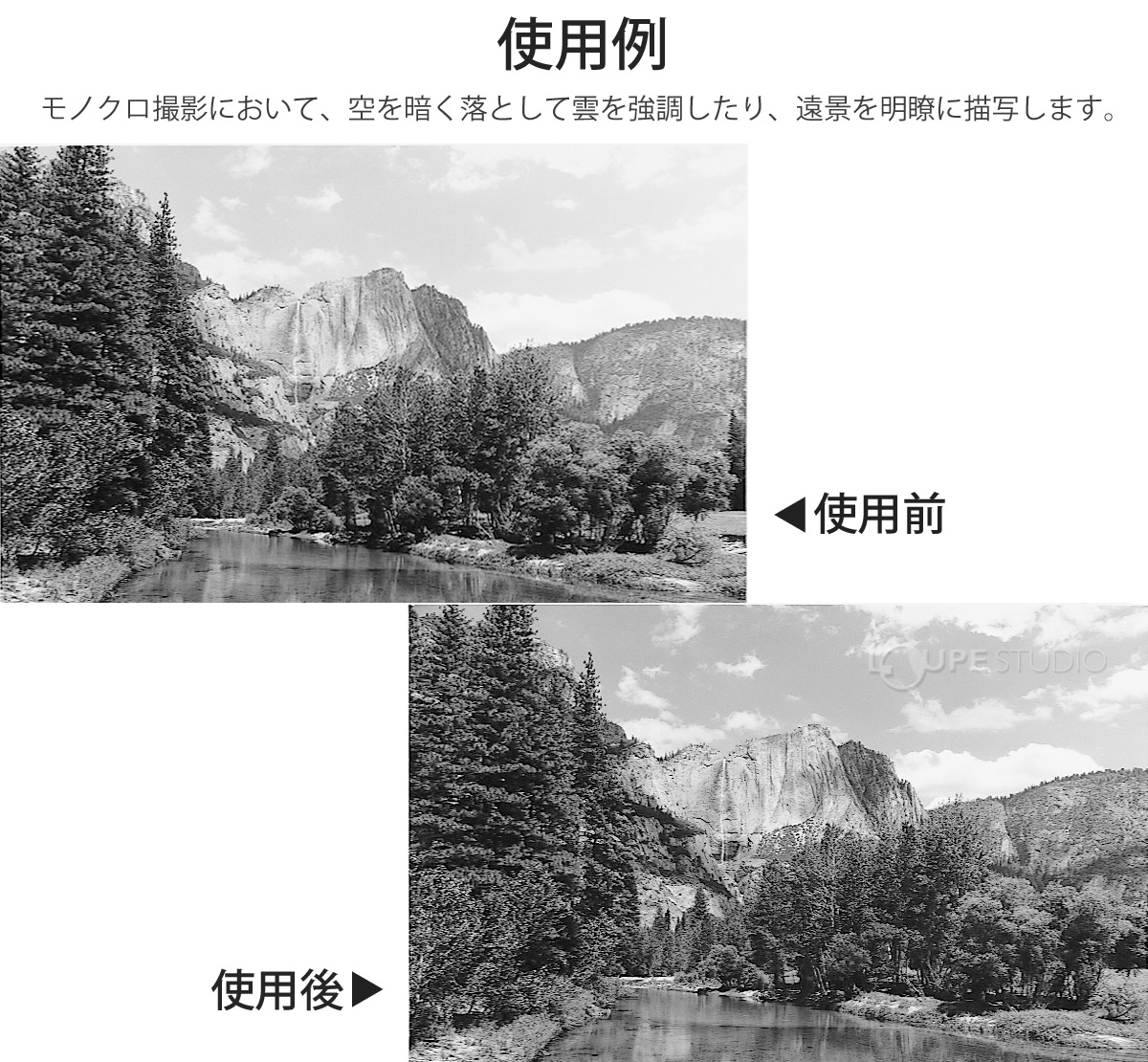 使用例 