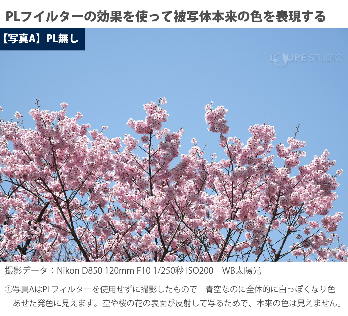 PLフイルターの効果