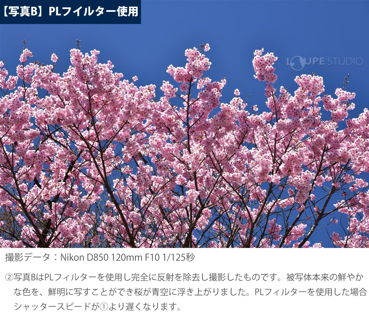 PLフイルターの効果