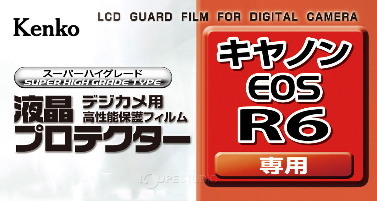 キヤノン EOS R6 