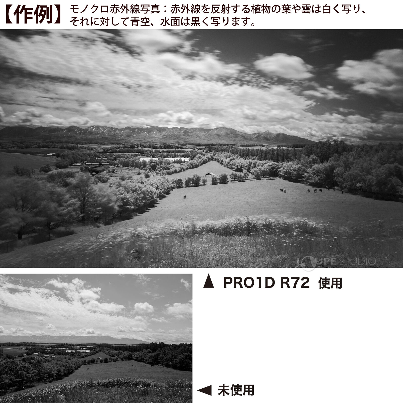 作例 