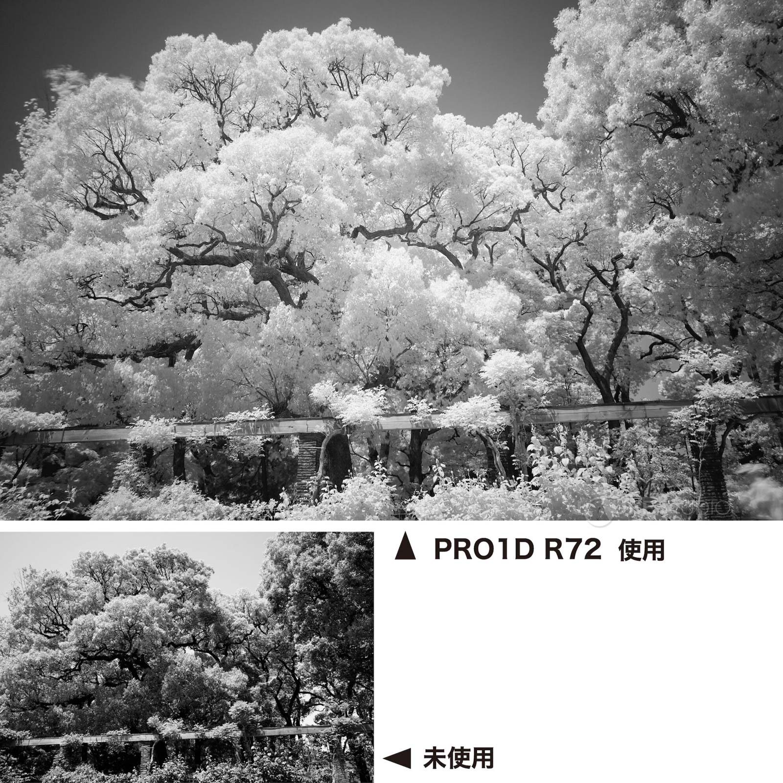 作例 