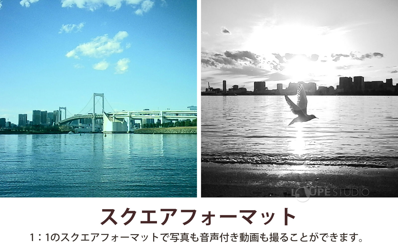 スクエアフォーマット 