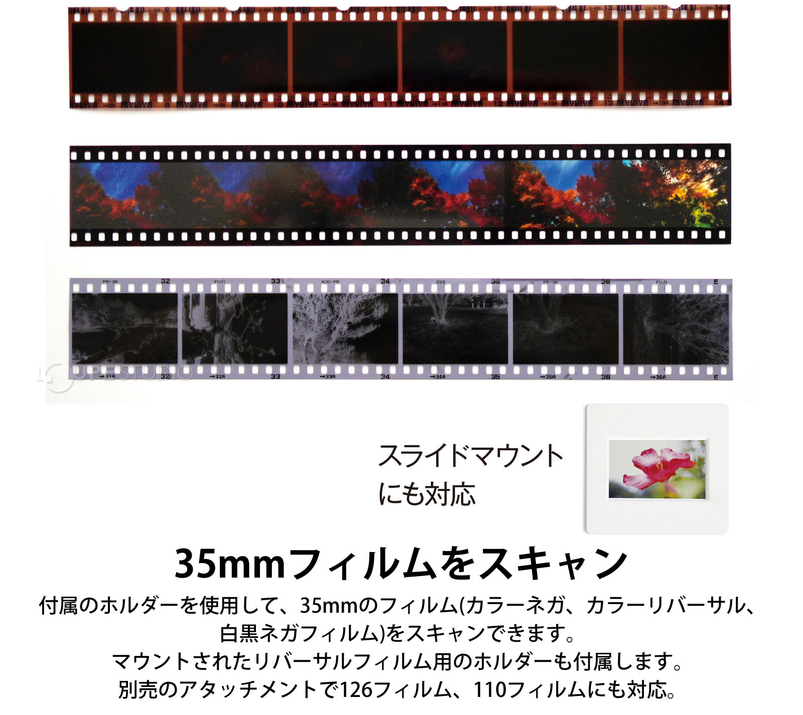 35mmフィルムをスキャン 