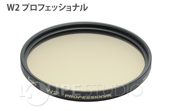 プロフェッショナル