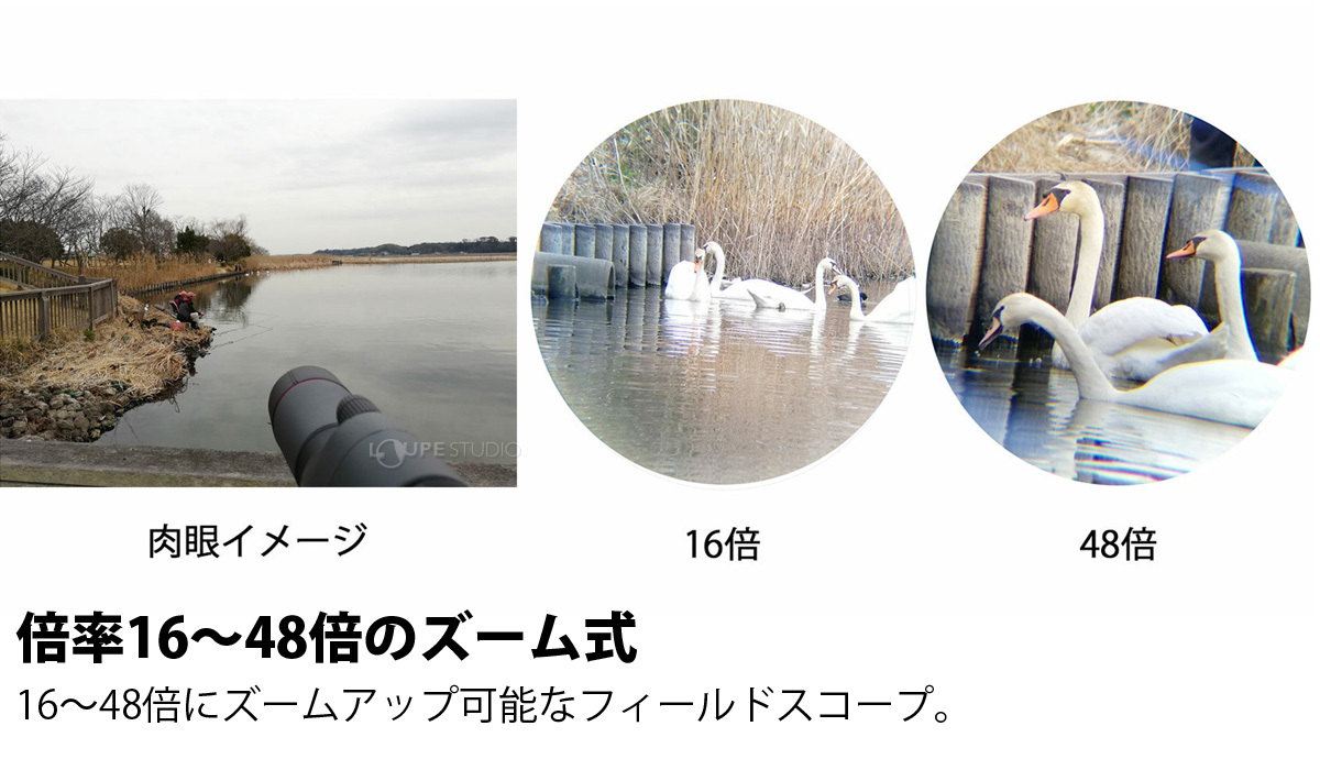 倍率16〜48倍のズーム式 