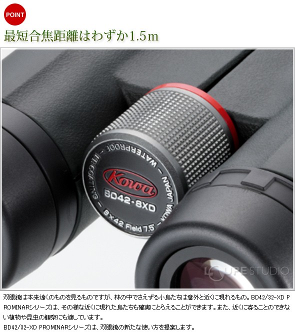 売れ筋】双眼鏡 防水 12倍 コーワ 56mm KOWA プロミナー ドーム BD56