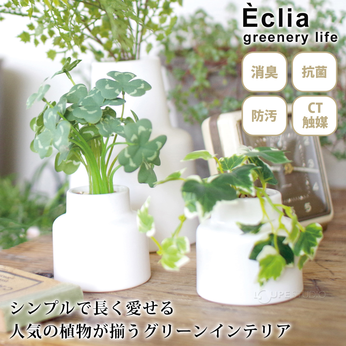 Eclia greenery life 