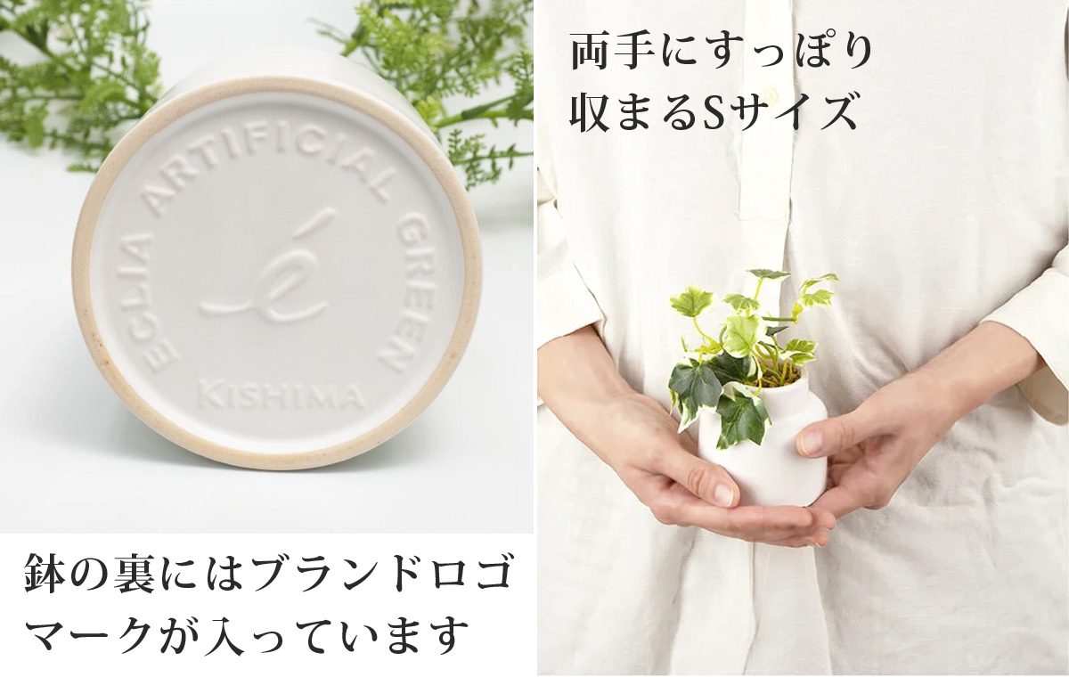 鉢の裏にはブランドロゴマークが入っています 