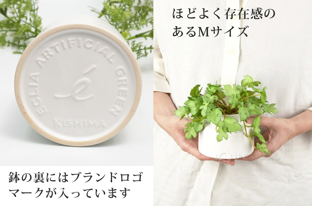 鉢の裏にはブランドロゴマークが入っています