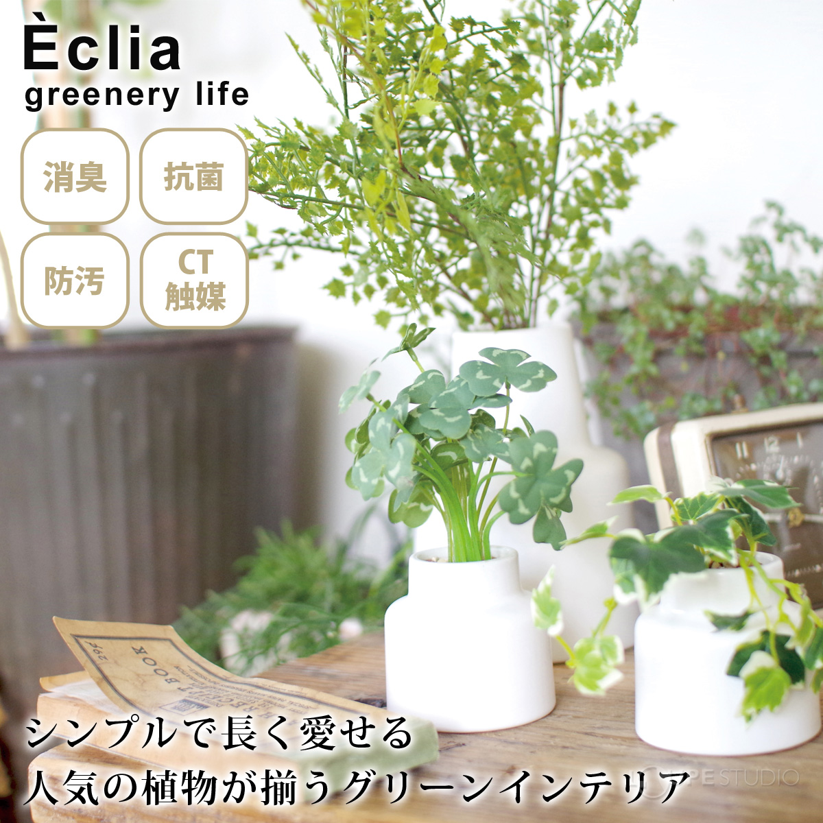 Eclia greenery life