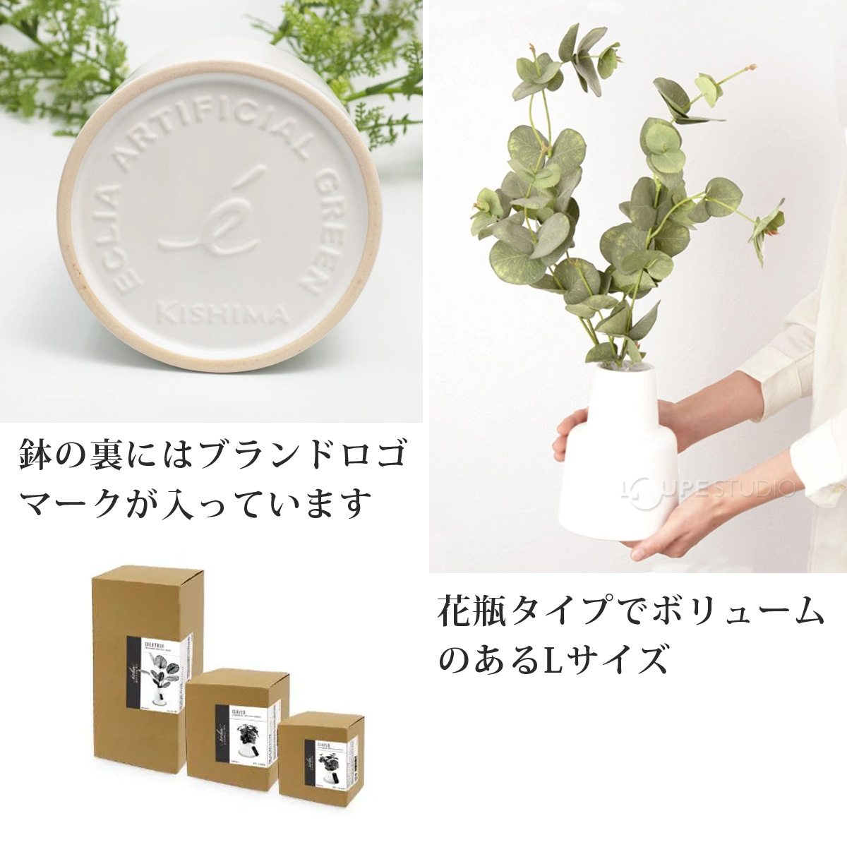 鉢の裏にはブランドロゴマークが入っています