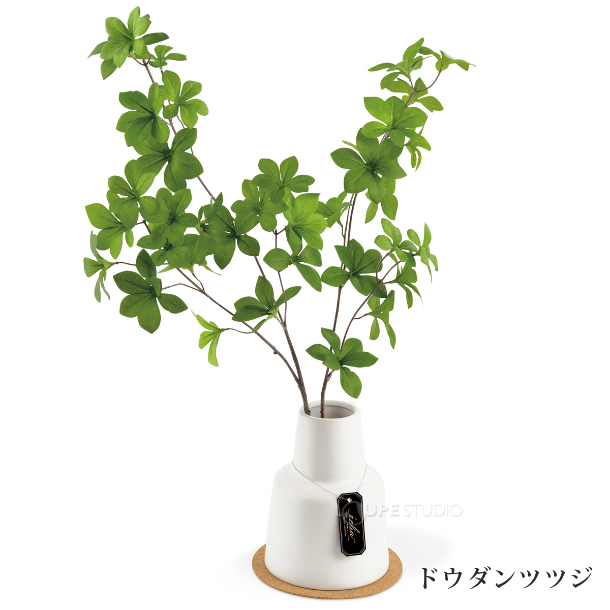 ドウダンツツジ