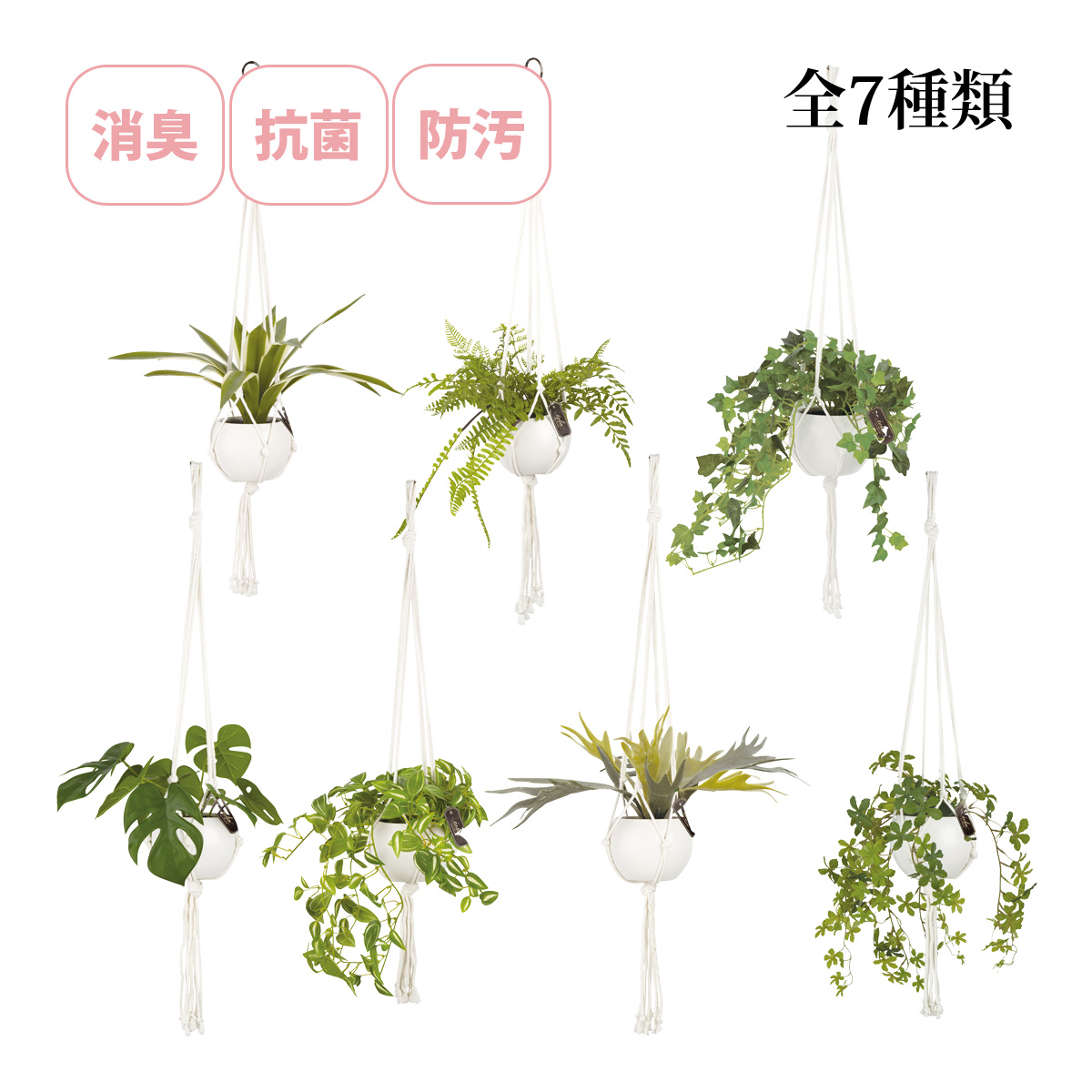 消臭アーティフィシャルグリーン エクリア ハンギングタイプ フェイクグリーン 人工観葉植物 シュガーバイン 吊り下げ マクラメハンギング 空気清浄 CT触媒