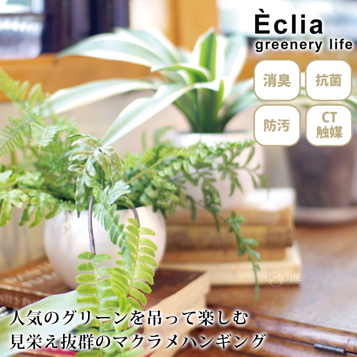 Eclia greenery life 