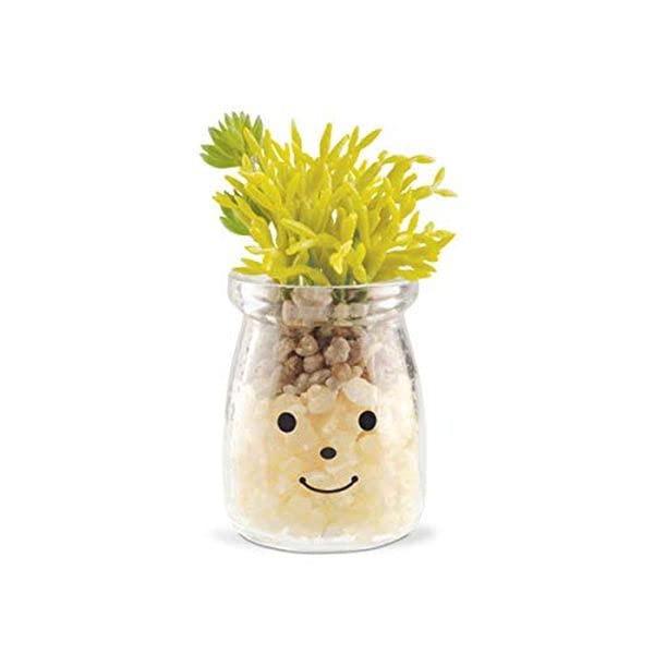 Famille(ファミーユ) 