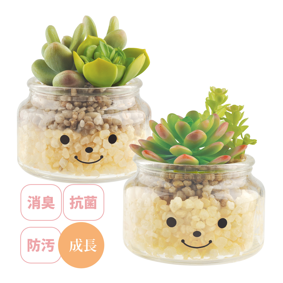 観葉植物 人工 フェイクグリーン ミニ おしゃれ 消臭アーティフィシャルグリーン(L) ファミーユ ダニエル インテリア 雑貨 置物 鉢植 かわいい リアル
