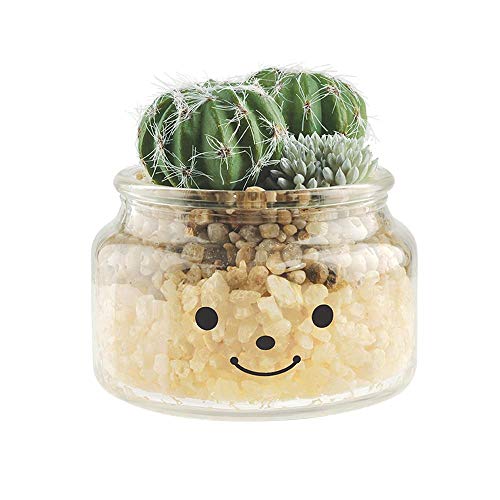 Famille(ファミーユ) 