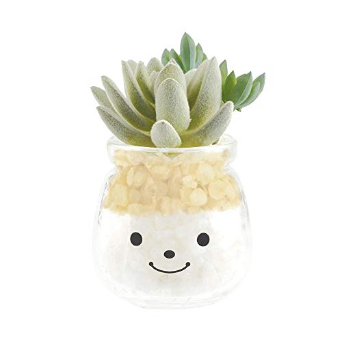 Famille(ファミーユ) 