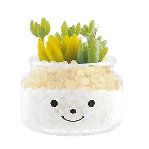 Famille(ファミーユ) 