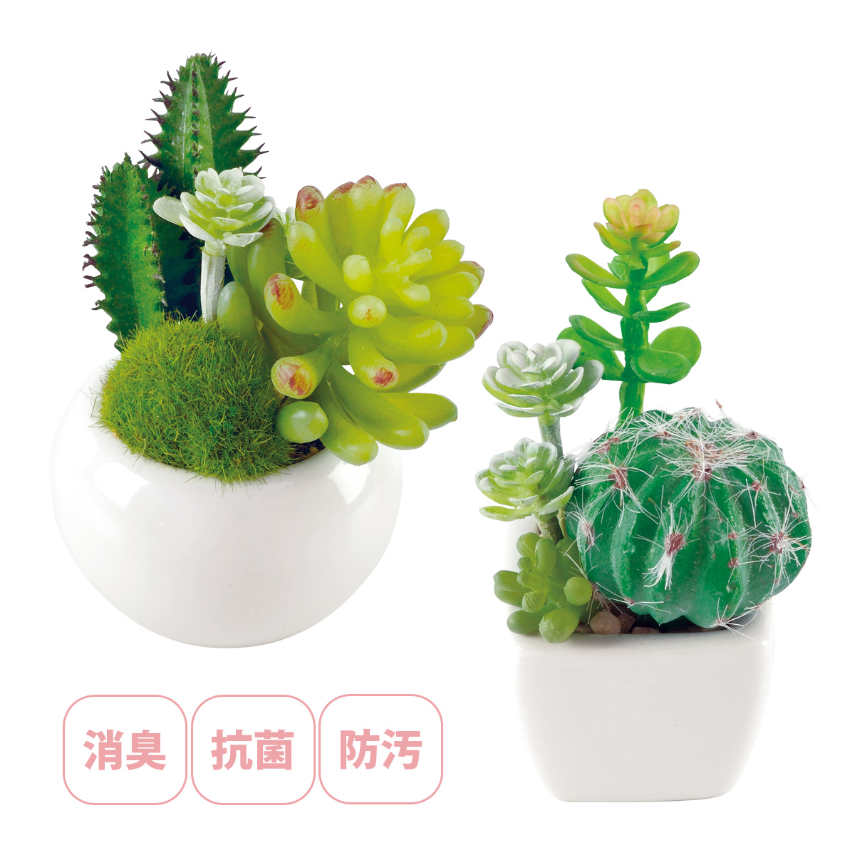 観葉植物 人工 フェイクグリーン ミニ おしゃれ 消臭アーティフィシャルグリーン サキュレントリフレリウム インテリア 雑貨 置物 鉢植 かわいい リアル