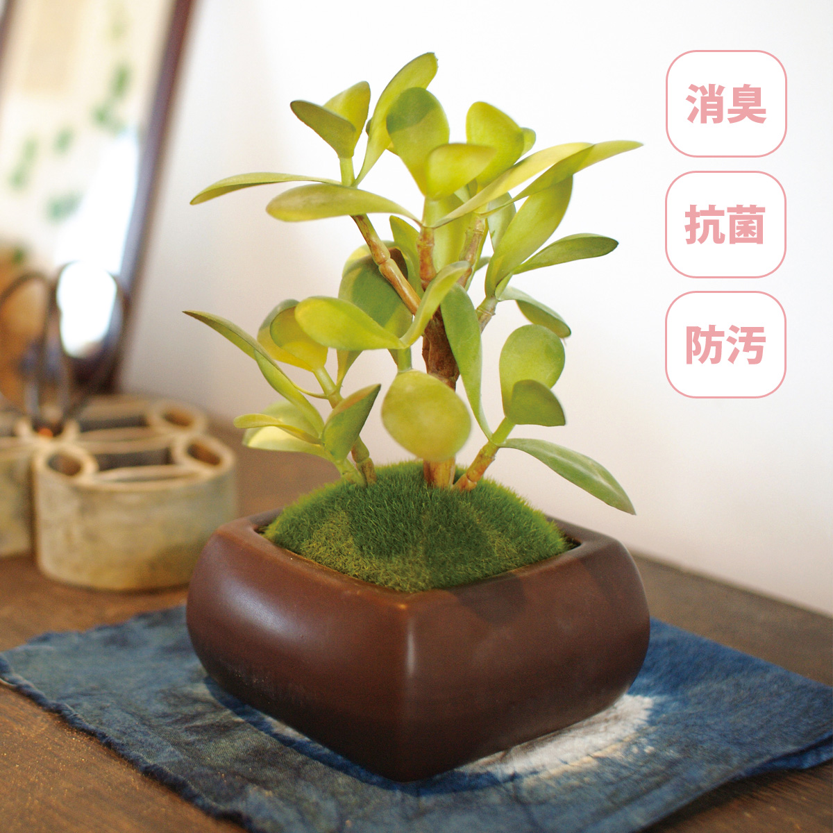 フェイクグリーン 観葉植物 人工 リアル 消臭 抗菌 おしゃれ かわいい 鉢植え インテリア 雑貨 アーティフィシャルグリーン 和盆栽 カネノナルキ キシマ