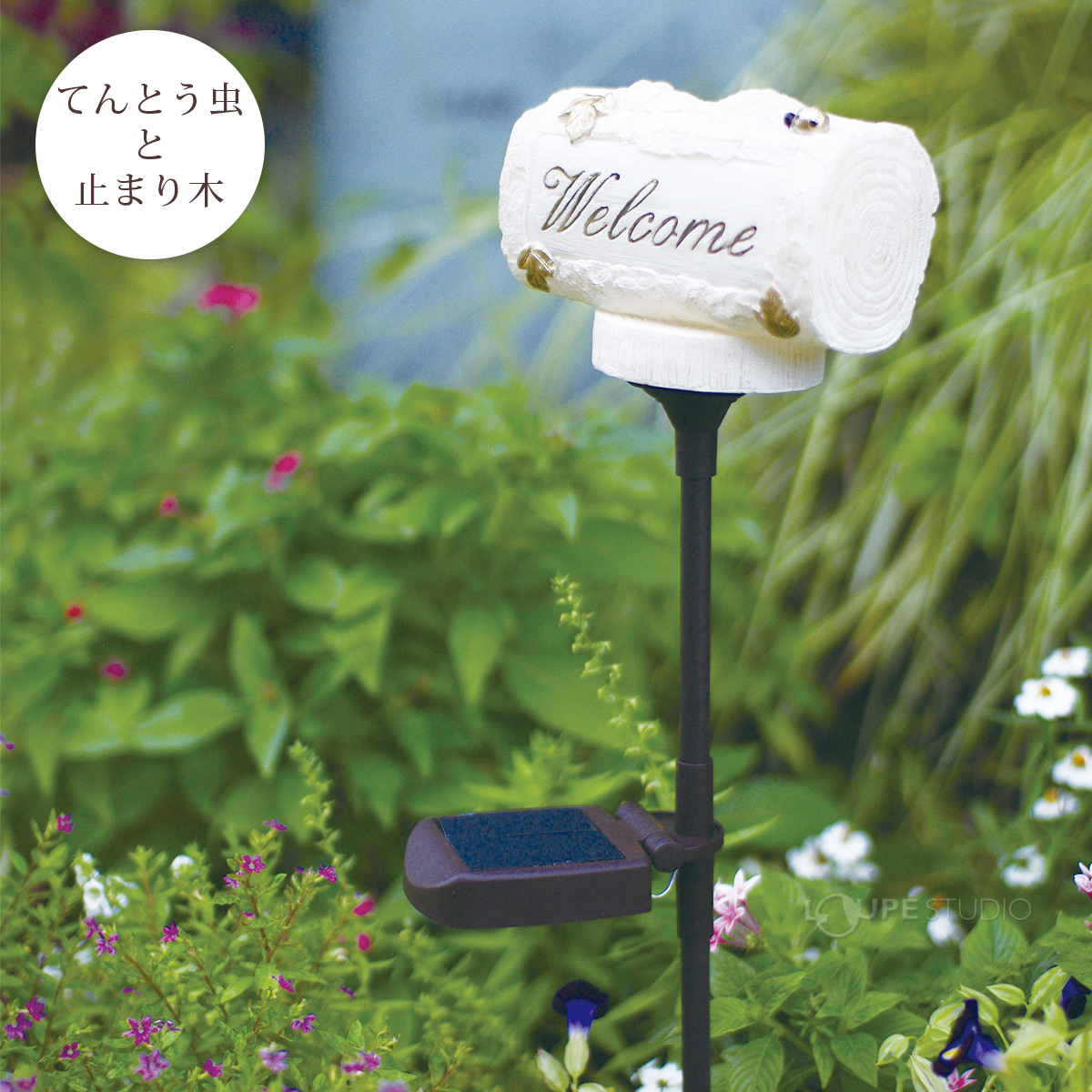 てんとう虫と止まり木 