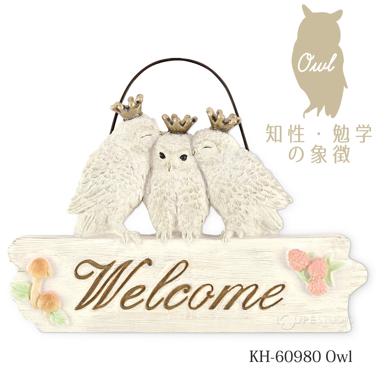 KH-60980 Owl 