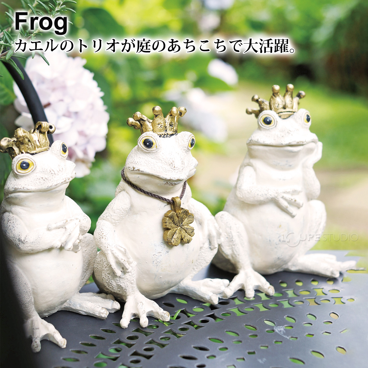 Frog(フロッグ) 