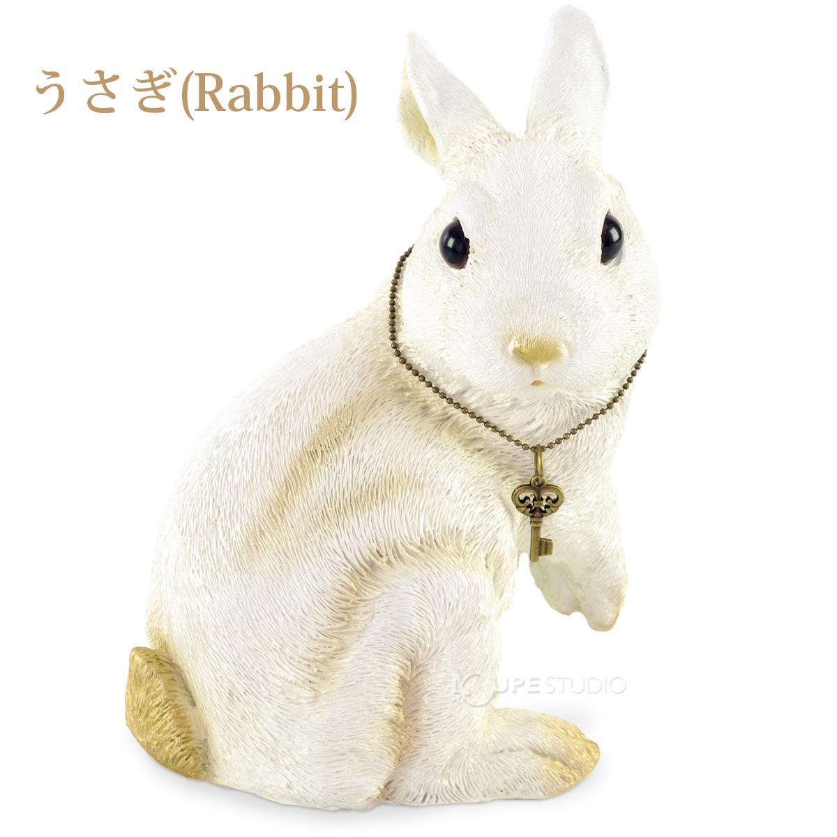 うさぎ(Rabbit) 