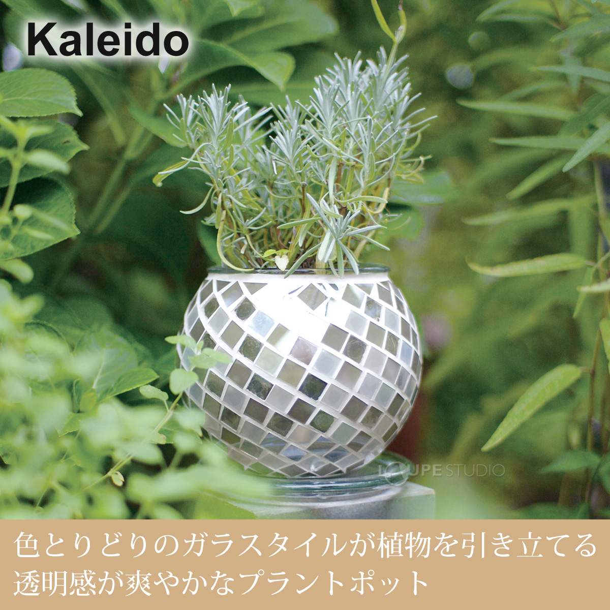 Kaleido 