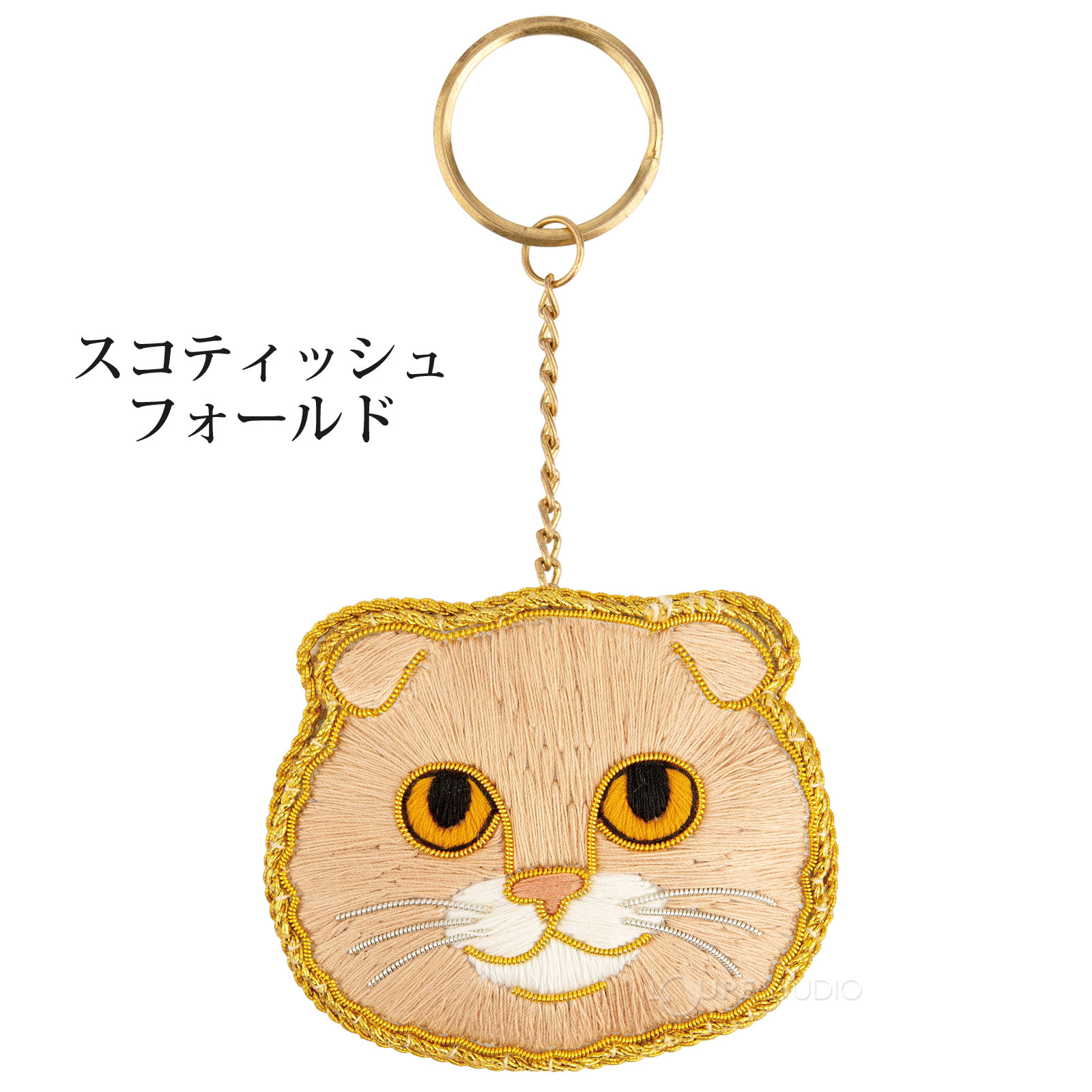 スコティッシュフォールド 