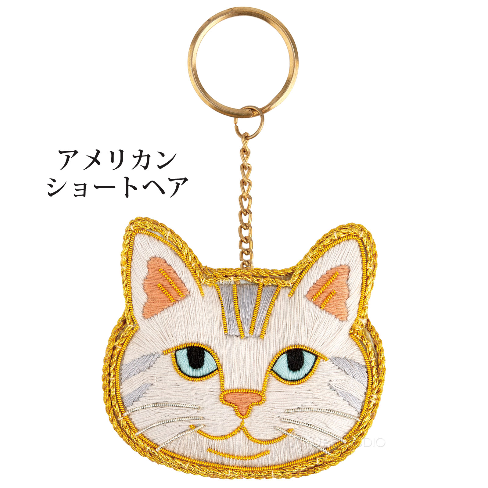 アメリカンショートヘア 