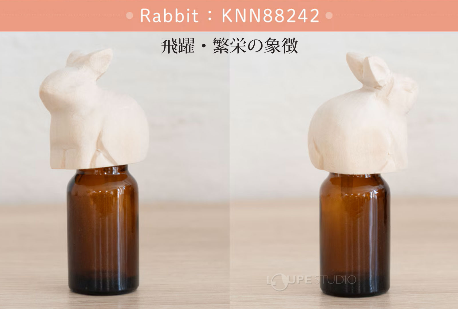 Rabbit(ウサギ) 