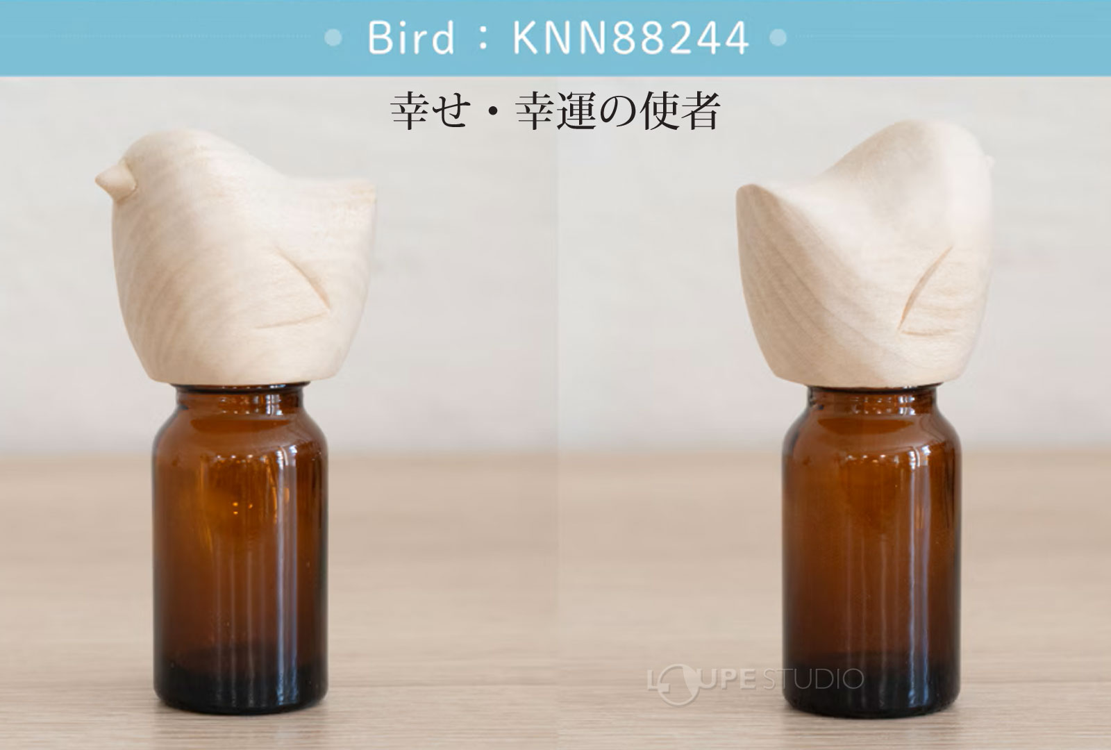 Bird(トリ) 
