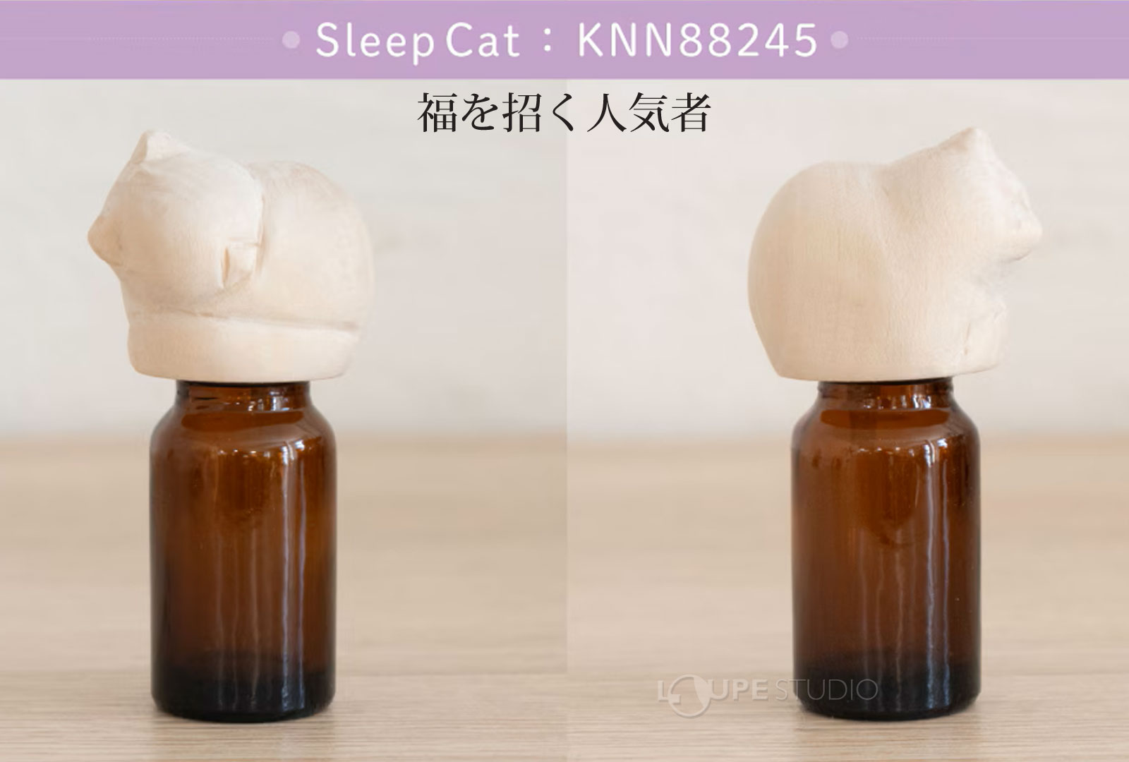 Sleep Cat(眠り猫) 