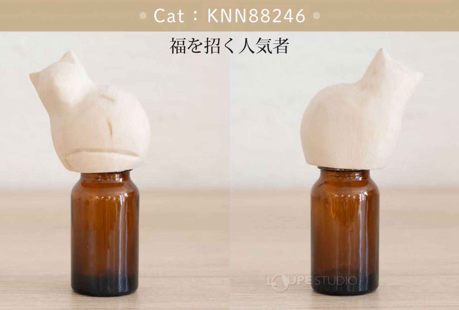 Cat(ネコ) 