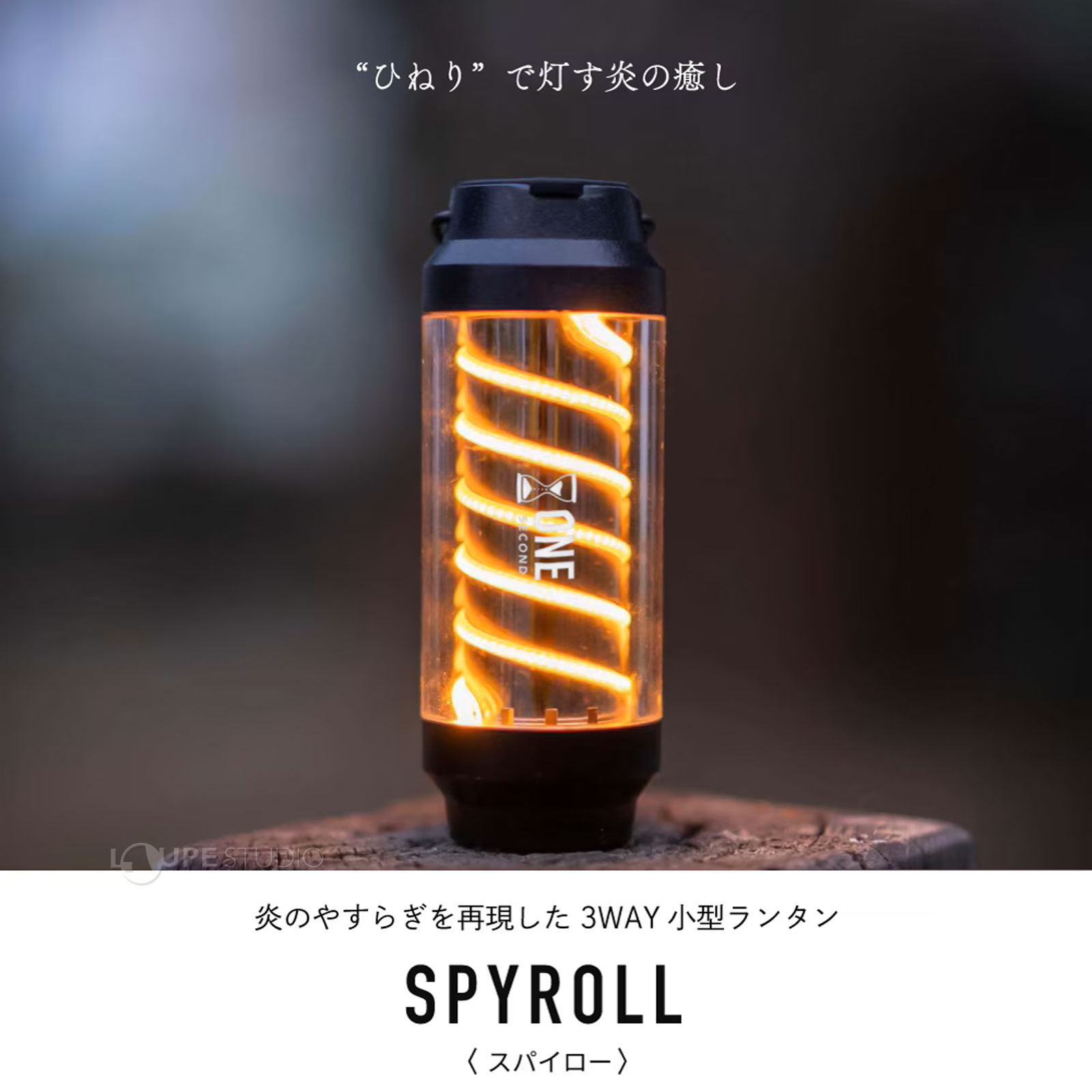 本体 