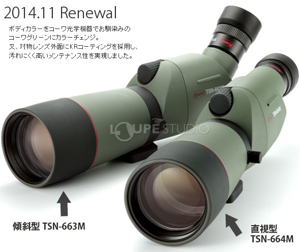 フィールドスコープ プロミナー TSN-664M 直視型PROMINAR KOWA コーワ 